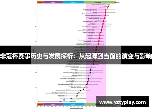 非冠杯赛事历史与发展探析：从起源到当前的演变与影响