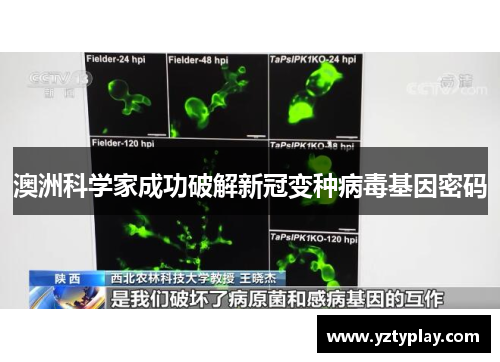 澳洲科学家成功破解新冠变种病毒基因密码